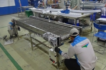 stainless steel mesh conveyor belt